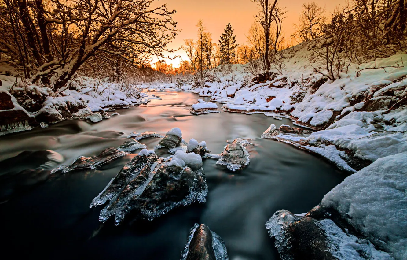 Фото обои лед, зима, лес, снег, деревья, закат, природа, река
