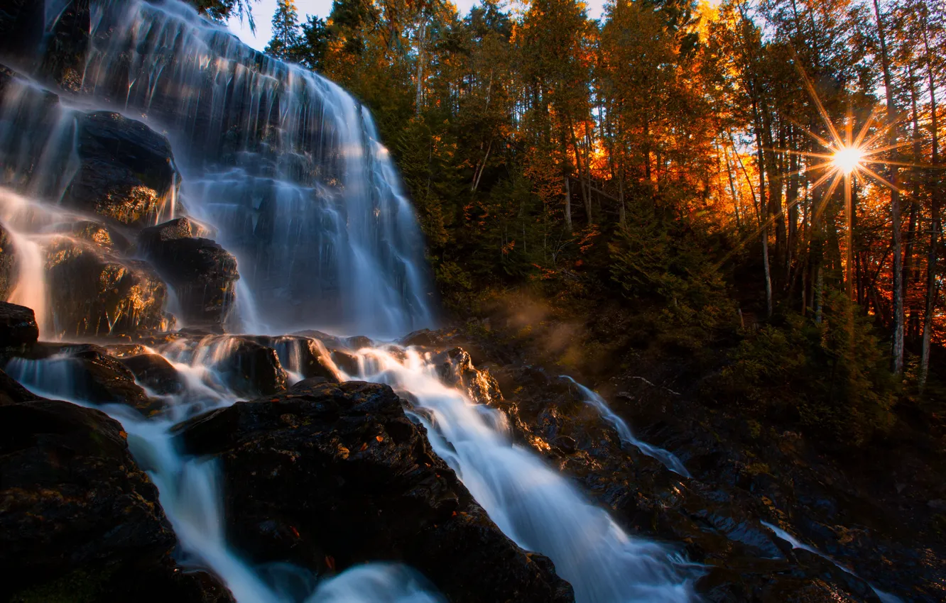 Фото обои осень, лес, солнце, деревья, скала, водопад