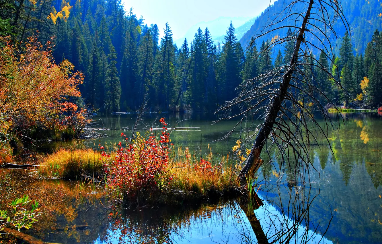 Фото обои небо, пейзаж, природа, озеро, красота, деревья. листья. осень, вода. отражение