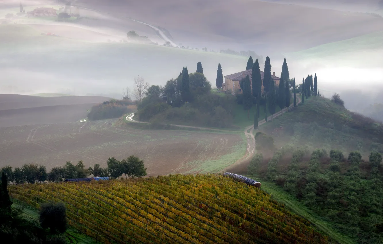 Фото обои поле, пейзаж, туман, утро, Тоскана