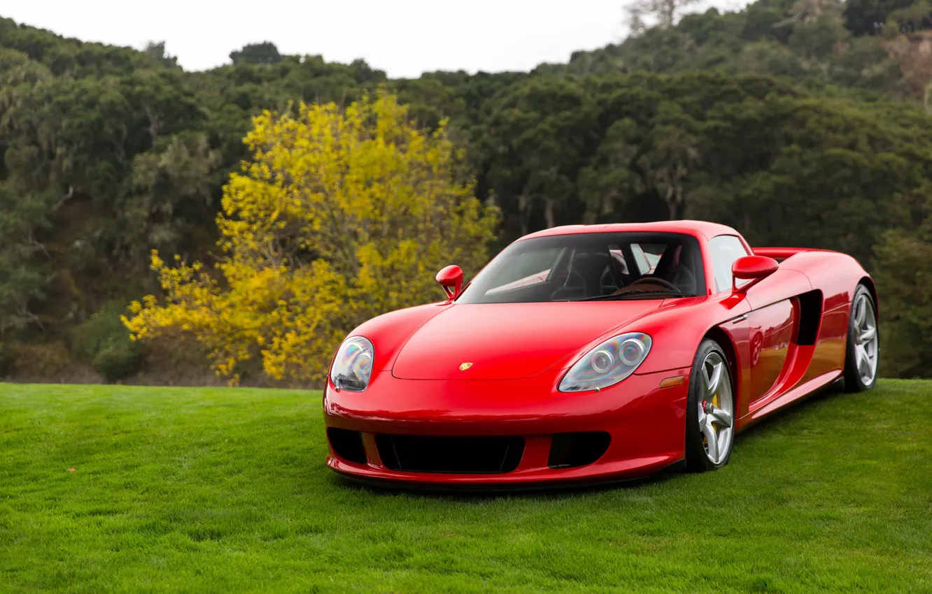 Фото обои Porsche, Red, Carrera