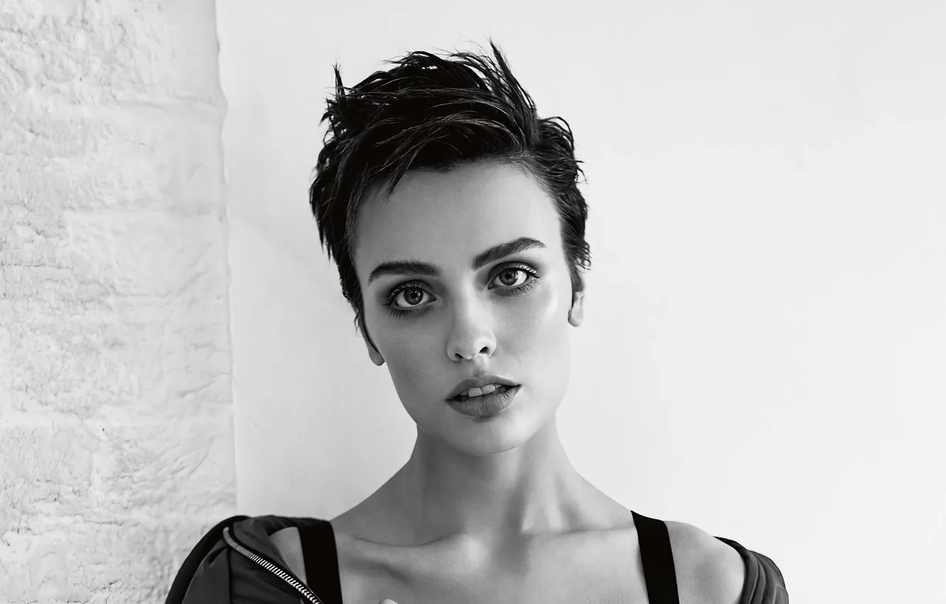 Фото обои black&white, monochrome, look, actress, Wallis Day, short haircut