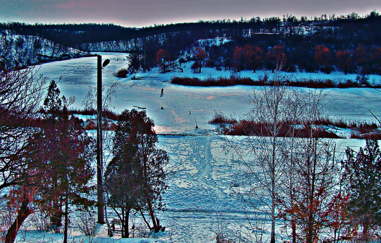 Фото обои зима, снег, пейзаж, деревья.холод