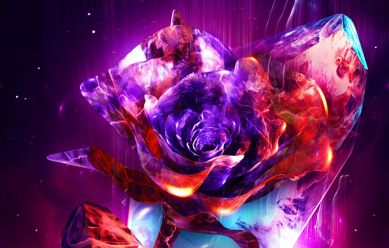 Фото обои abstract, rendering, digital art, Artist, Behance, a work of art, florals, a rose