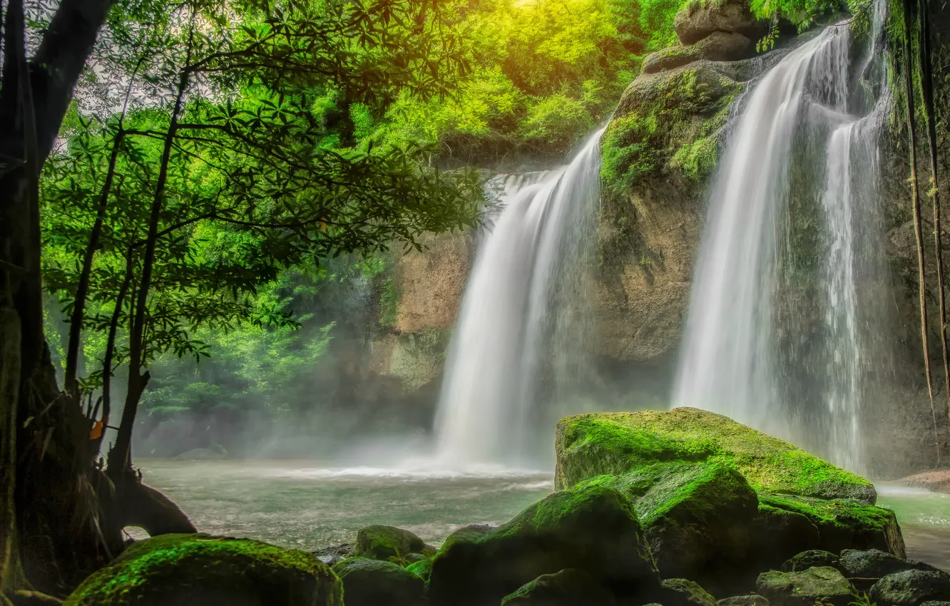 Фото обои зелень, вода, камни, водопад, мох, поток