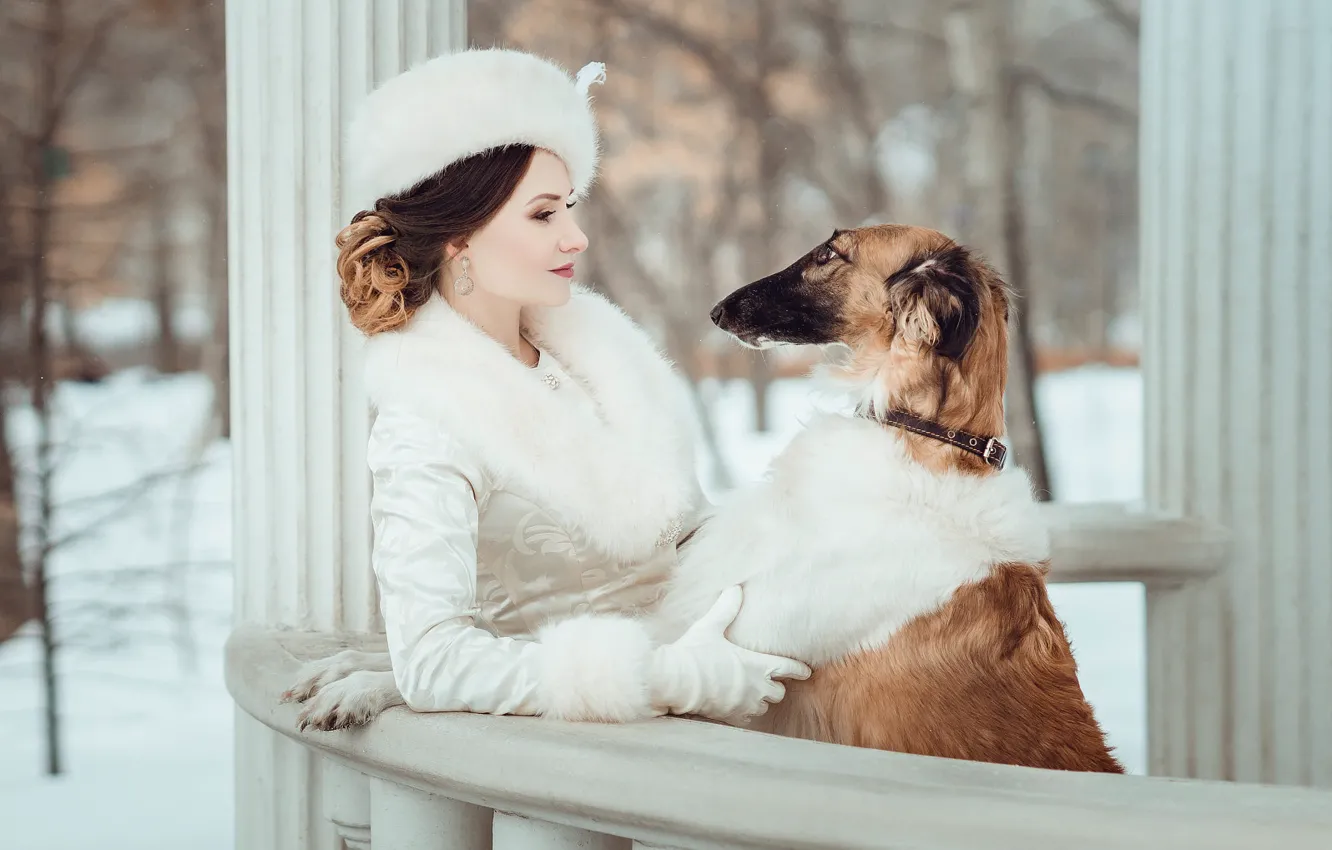 Фото обои зима, взгляд, девушка, снег, ветки, природа, парк, собака
