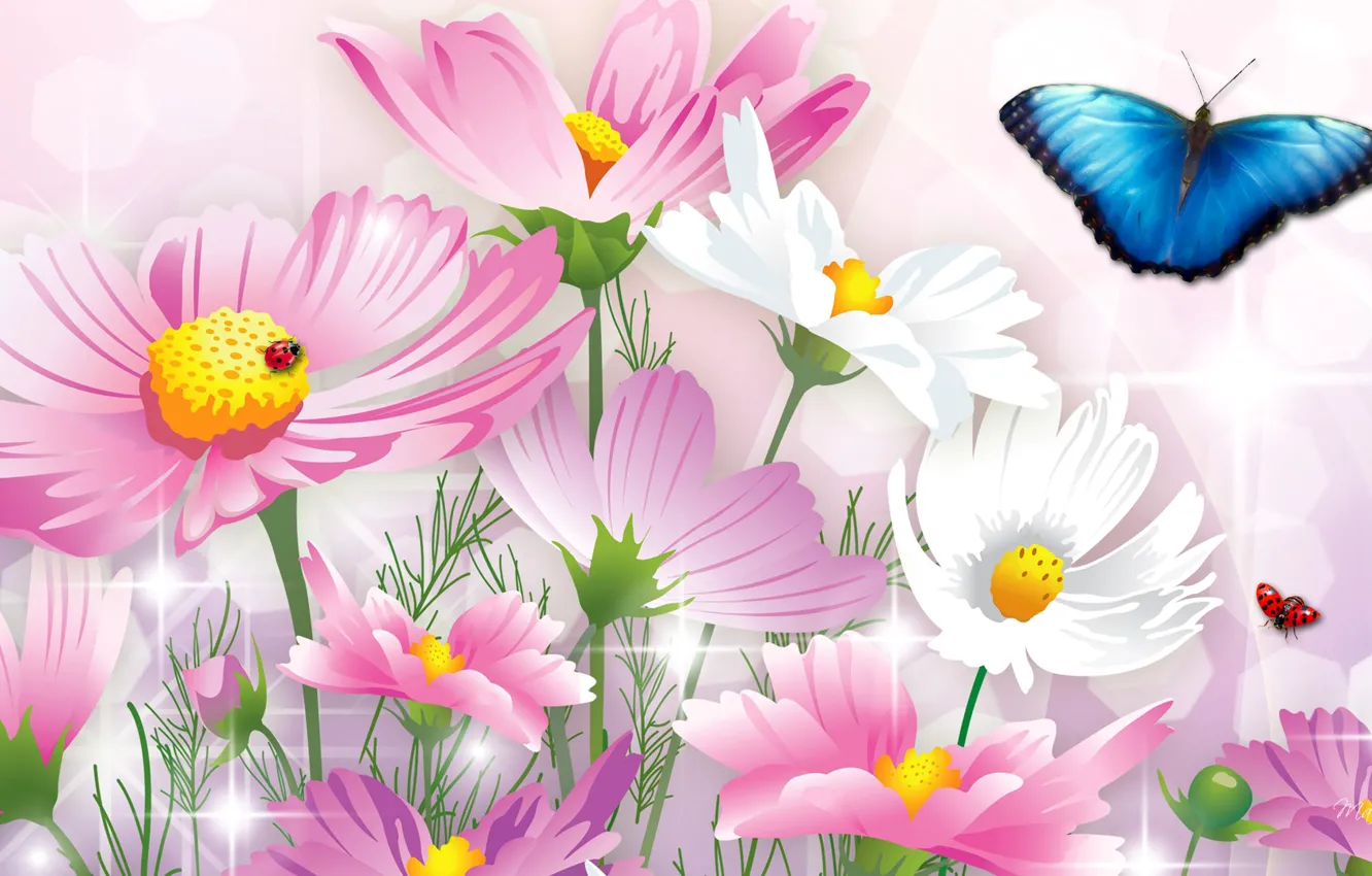Фото обои цветы, коллаж, бабочка, божья коровка, насекомое, открытка, космея