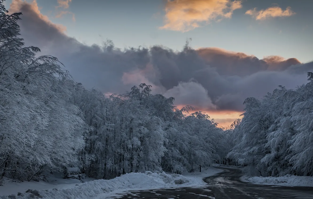 Фото обои иней, дорога, лес, небо, облака, деревья, мороз