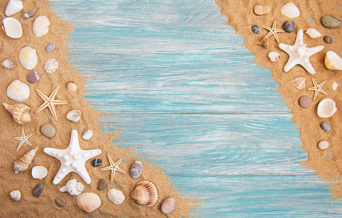 Фото обои песок, фон, ракушки, beach, wood, background, sand, seashells
