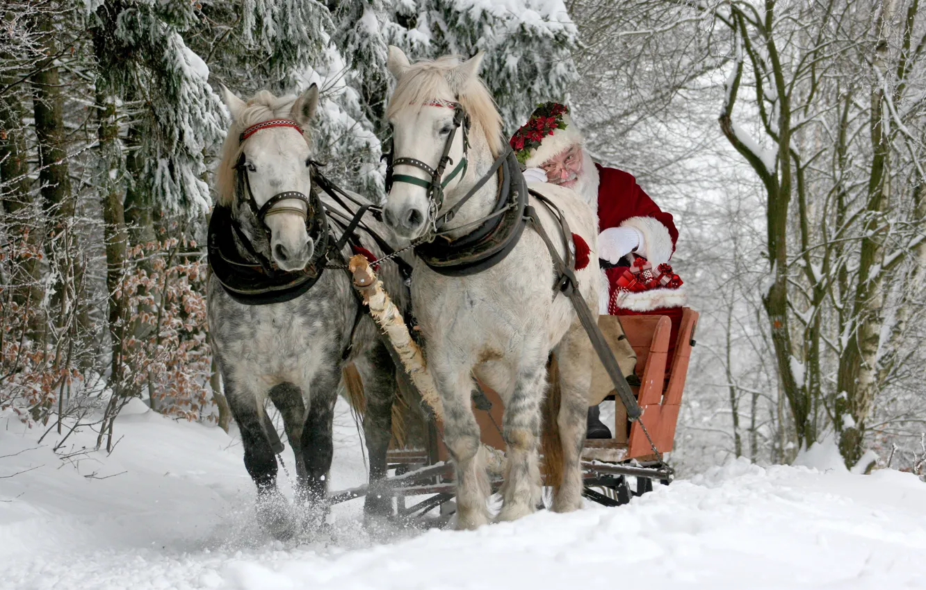Фото обои зима, лес, снег, кони, лошади, сани, Санта Клаус, Дед Мороз