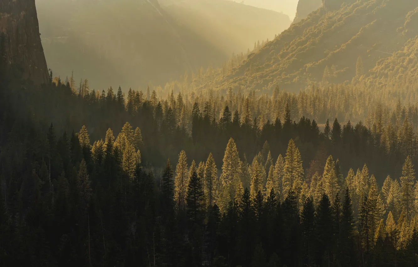 Фото обои Nature, Wood, Mountain, Sunshine, Sunlight, Stephen Leonardi