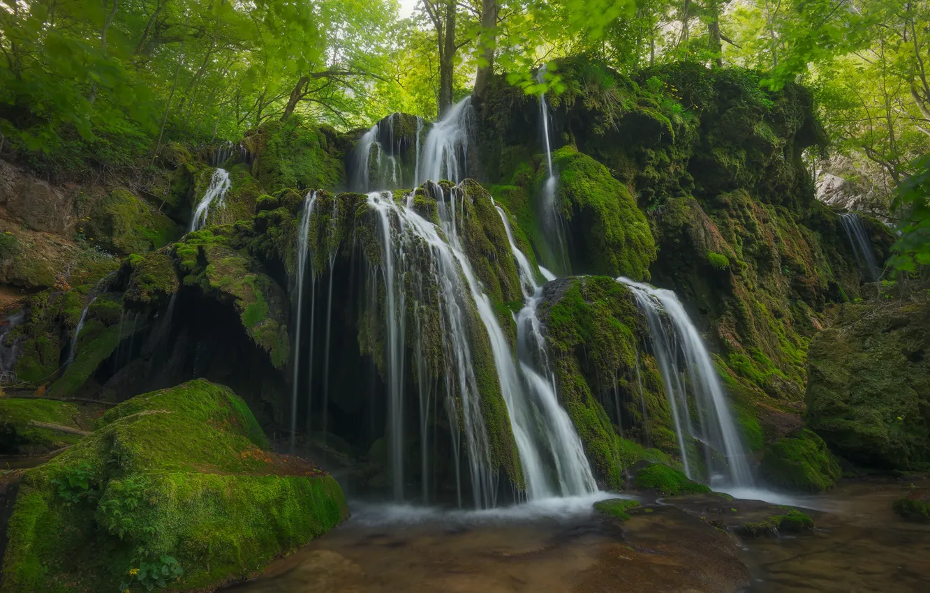 Фото обои зелень, лес, деревья, камни, скалы, листва, водопад, мох