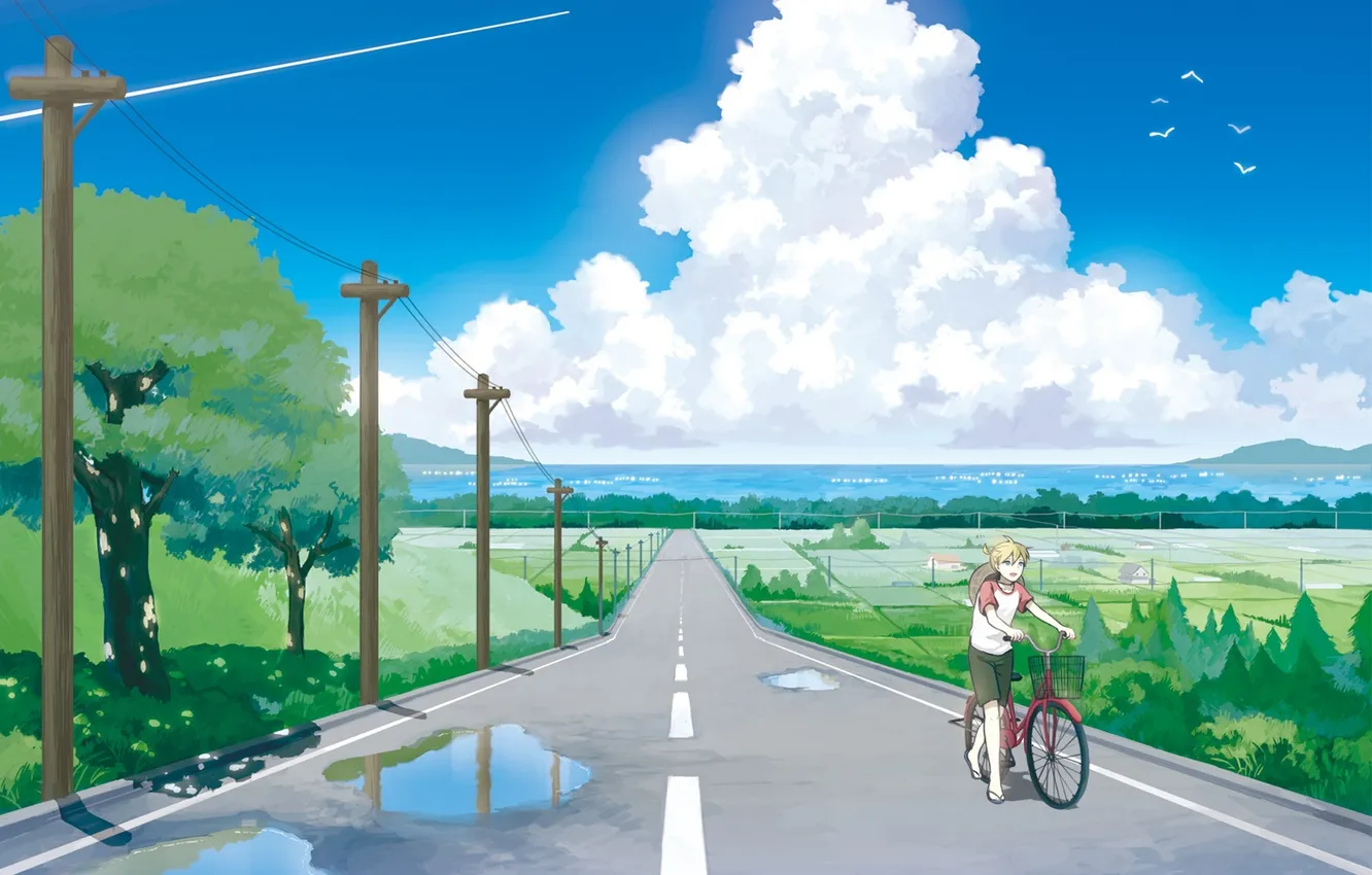 Фото обои дорога, небо, облака, природа, велосипед, провода, аниме, арт