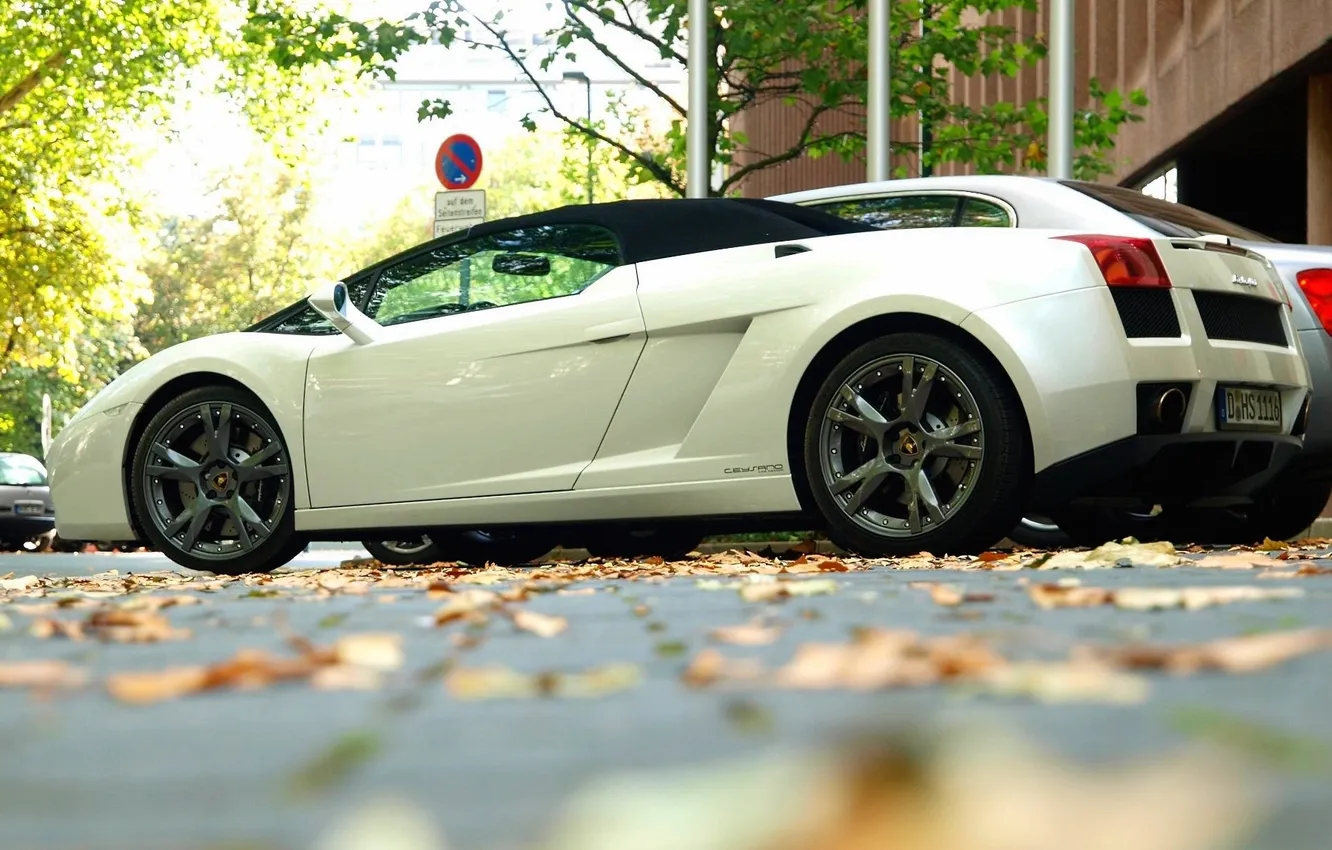Фото обои листья, улица, Lamborghini Gallardo