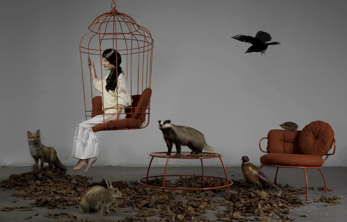 Фото обои животные, девушка, звери, заяц, кресло, клетка, брюнетка, лиса
