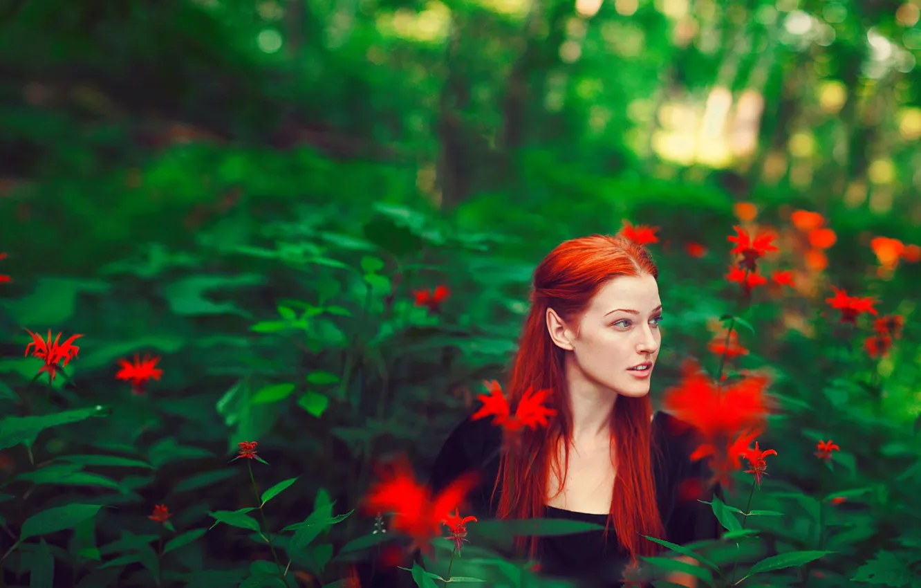 Фото обои зелень, лес, девушка, цветы, настроение, рыжая, эльфийка