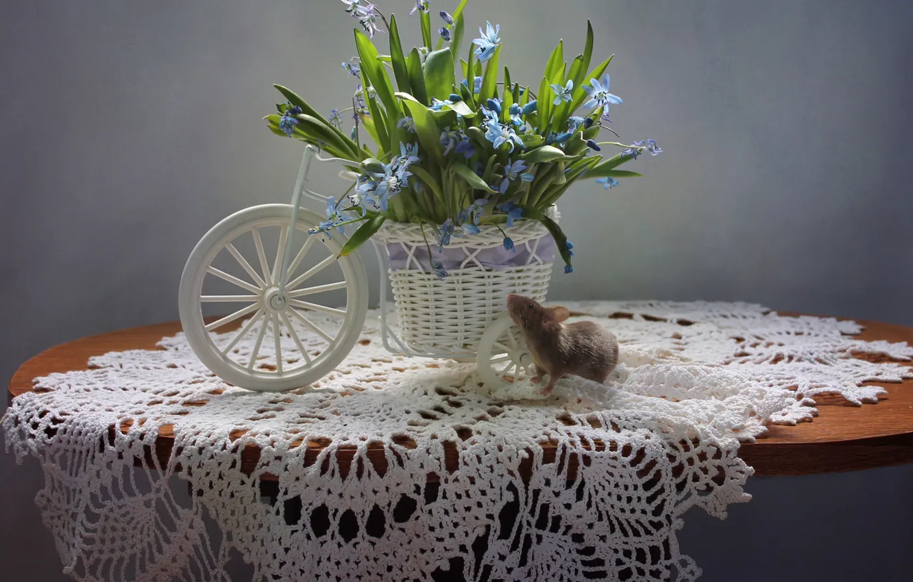 Фото обои цветы, весна, мышь, натюрморт, пролески