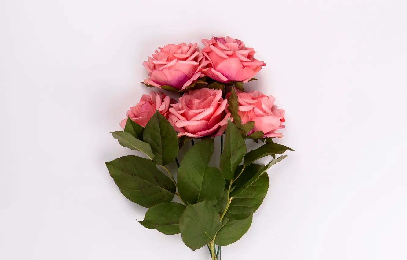 Фото обои розы, букет, розовые, бутоны, pink, leaves, roses