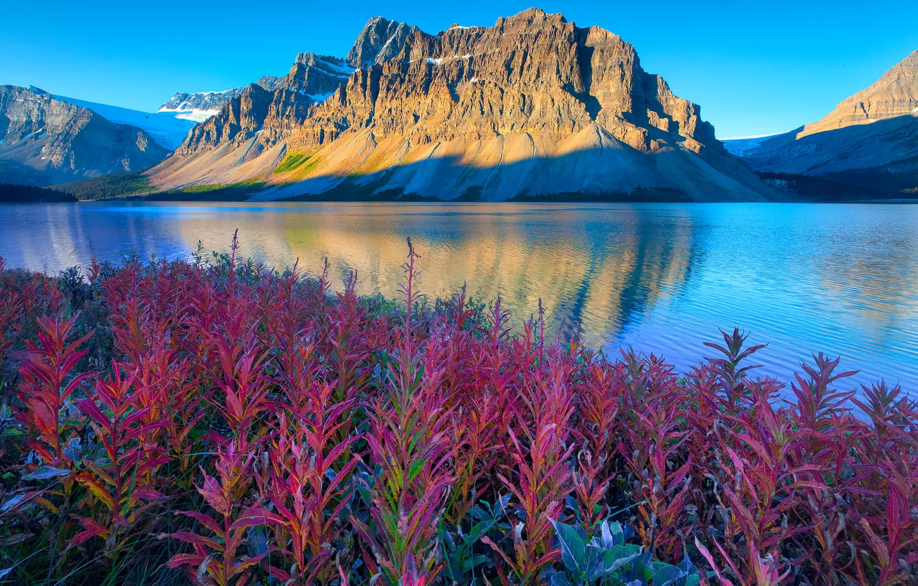 Фото обои небо, листья, снег, горы, отражение, растения, Alberta, Canada