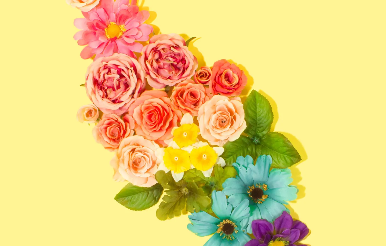Фото обои цветы, фон, розы, flower
