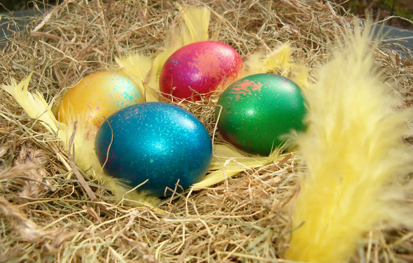 Фото обои праздник, яйца, пасха