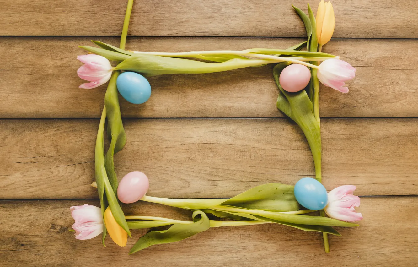 Фото обои яйца, весна, пасха, тюльпаны, Праздник