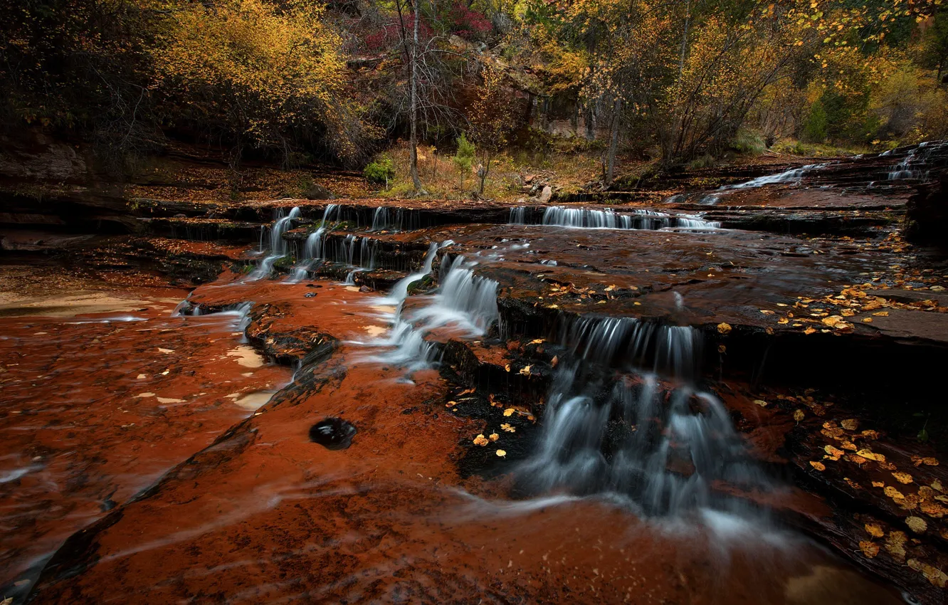 Фото обои осень, вода, деревья, природа, река, скалы, США, потоки