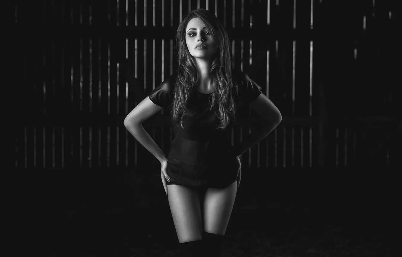 Фото обои взгляд, девушка, модель, черно-белое, монохром, Svetlana Grabenko