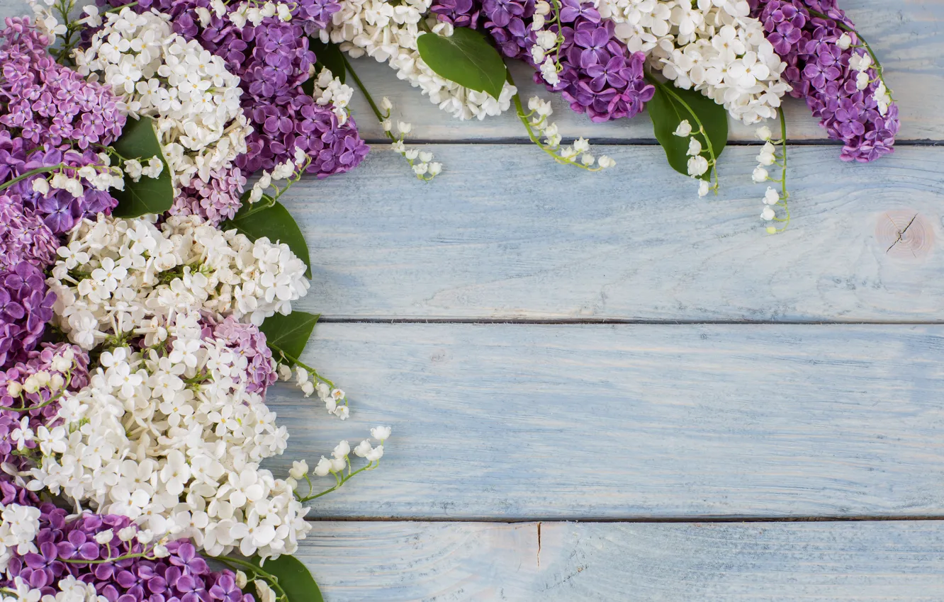 Фото обои цветы, ветки, white, ландыши, wood, flowers, сирень, spring