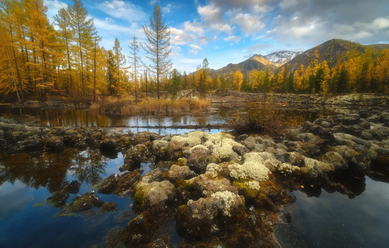 Фото обои осень, вода, пейзаж, горы, природа, растительность, лава, тайга