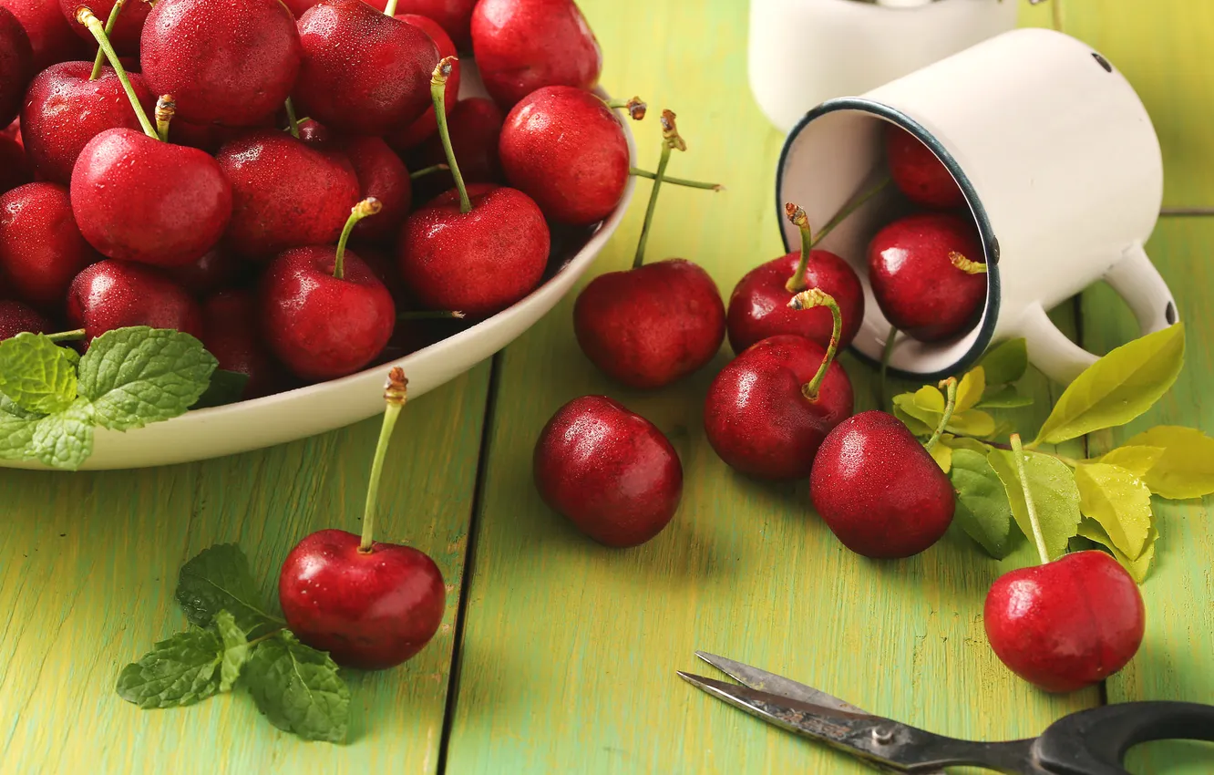 Фото обои красный, ягоды, кружка, мята, вишни, ножницы