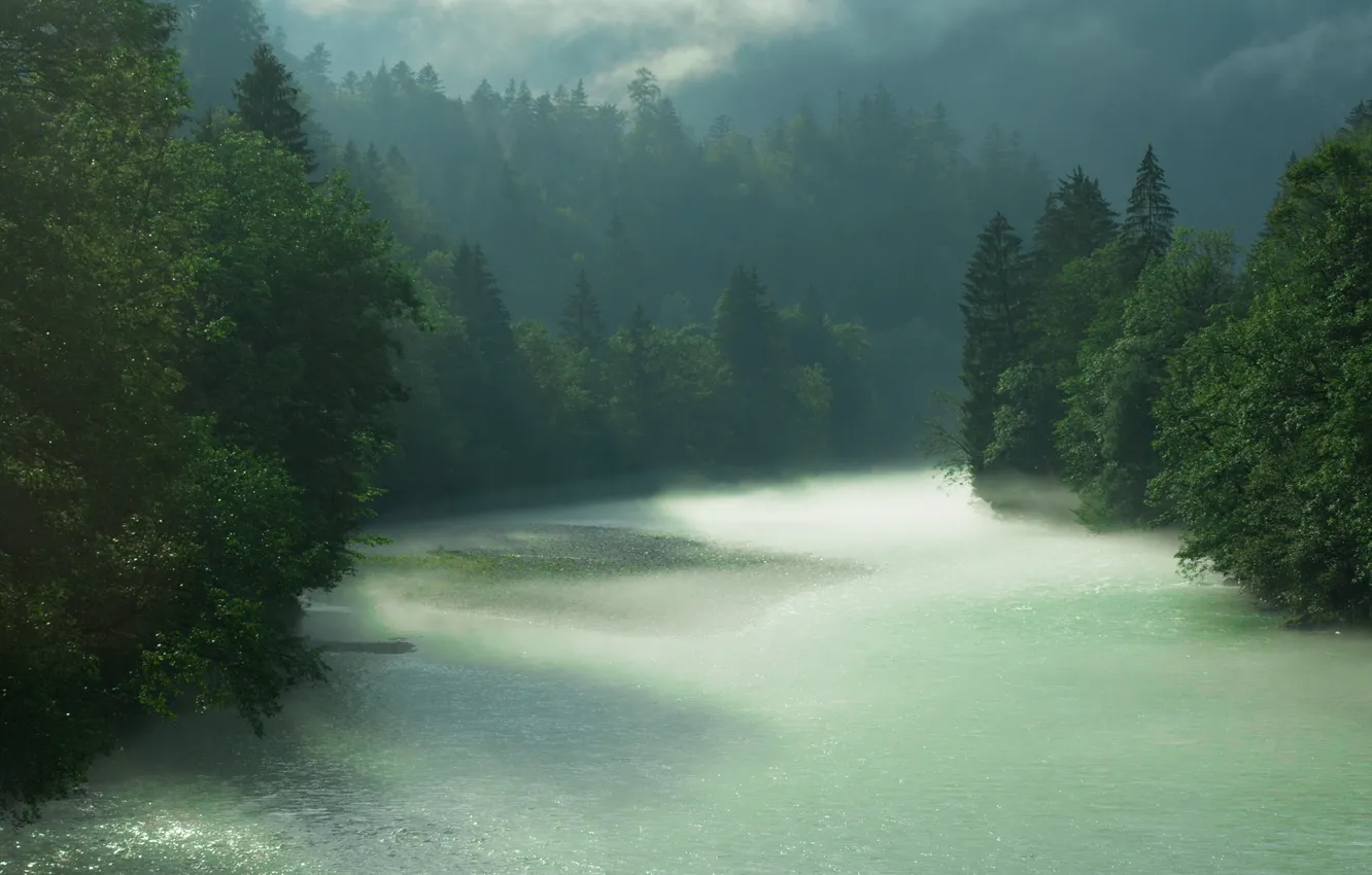 Фото обои лес, река, дождь, Бавария, Берхтесгаден