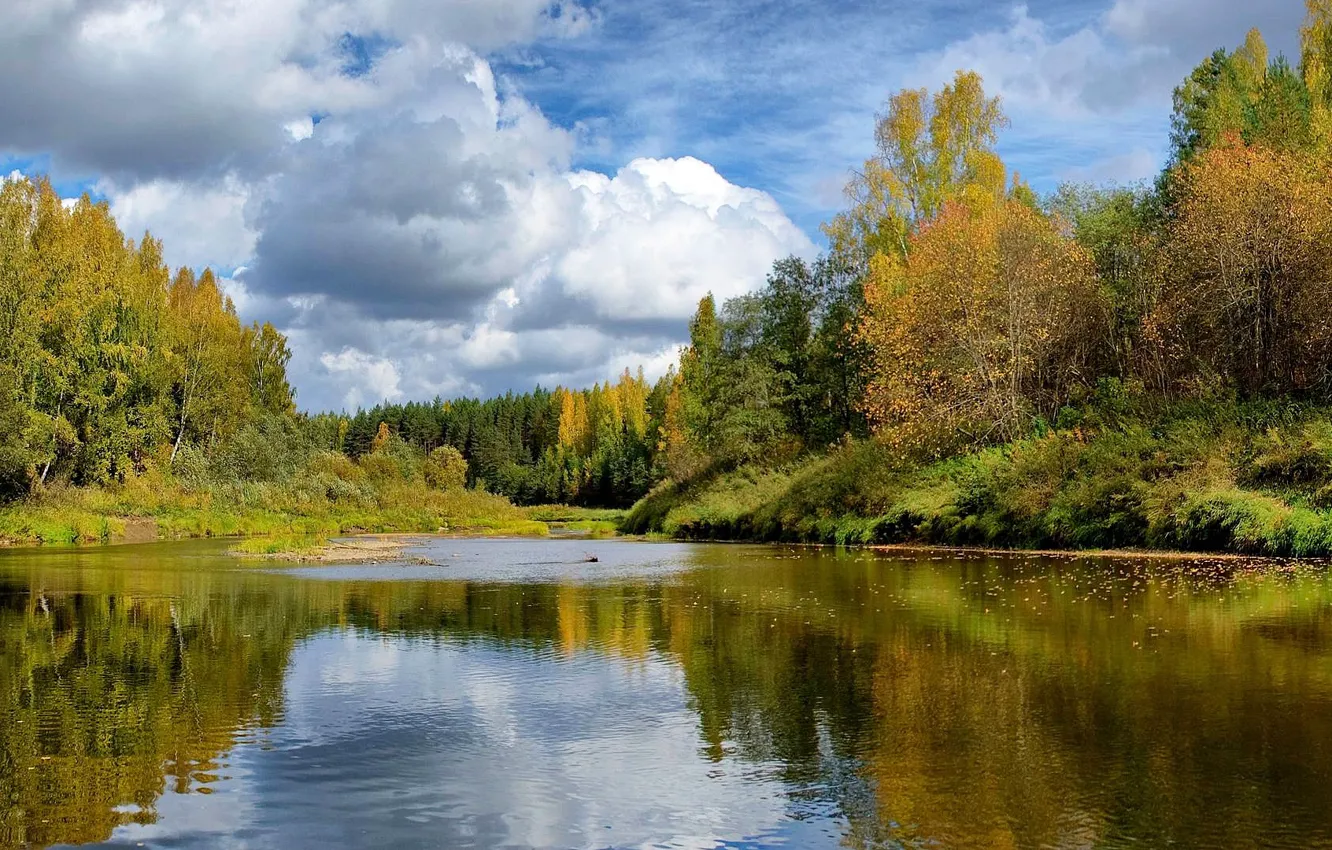 Фото обои осень, лес, природа, лесная речка
