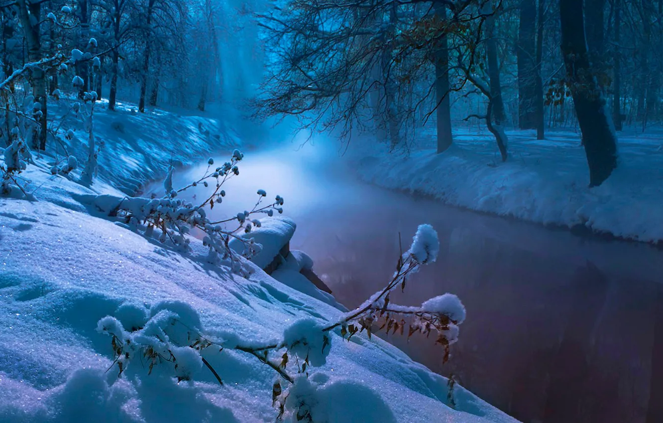 Фото обои зима, лес, снег, деревья, река, ручей