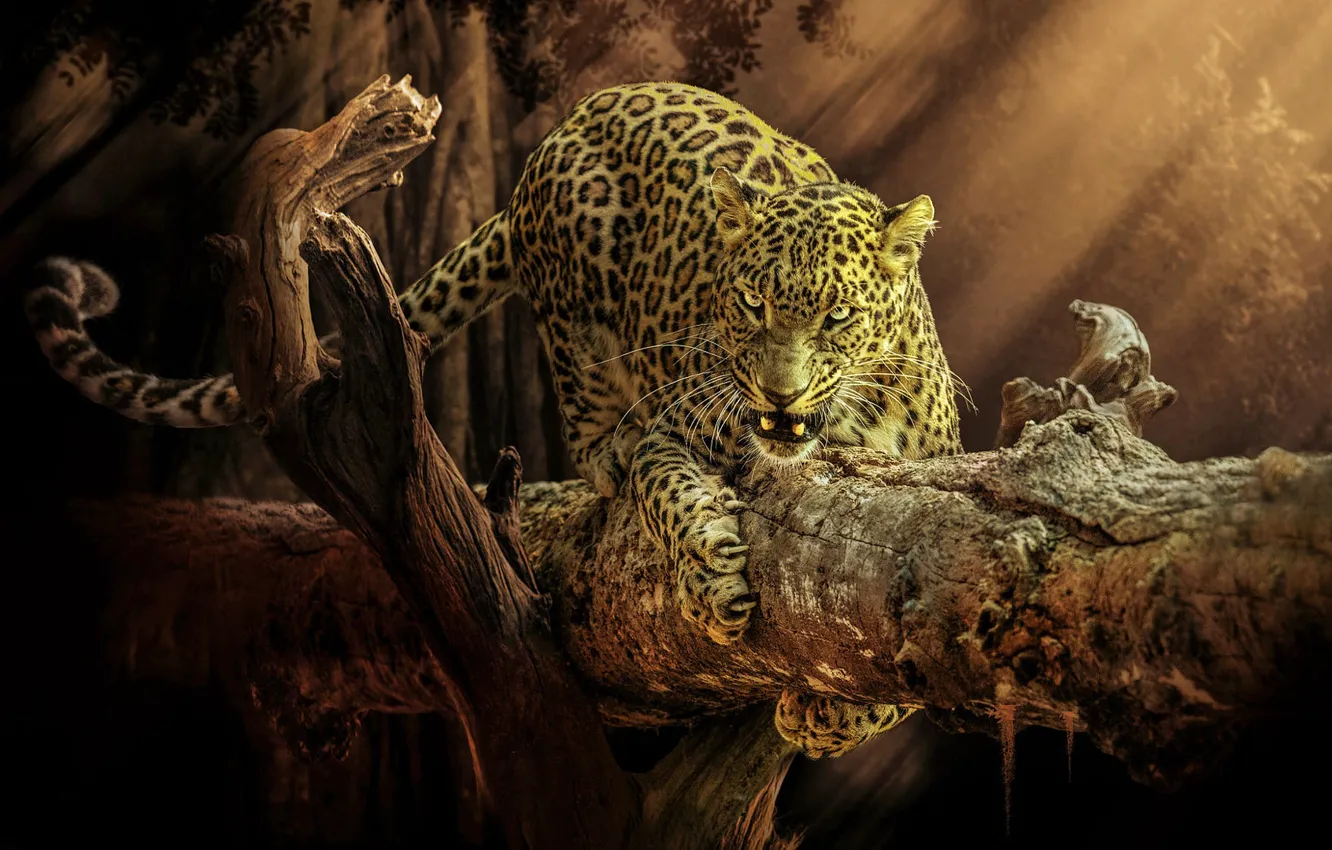 Фото обои jaguar, art, animal