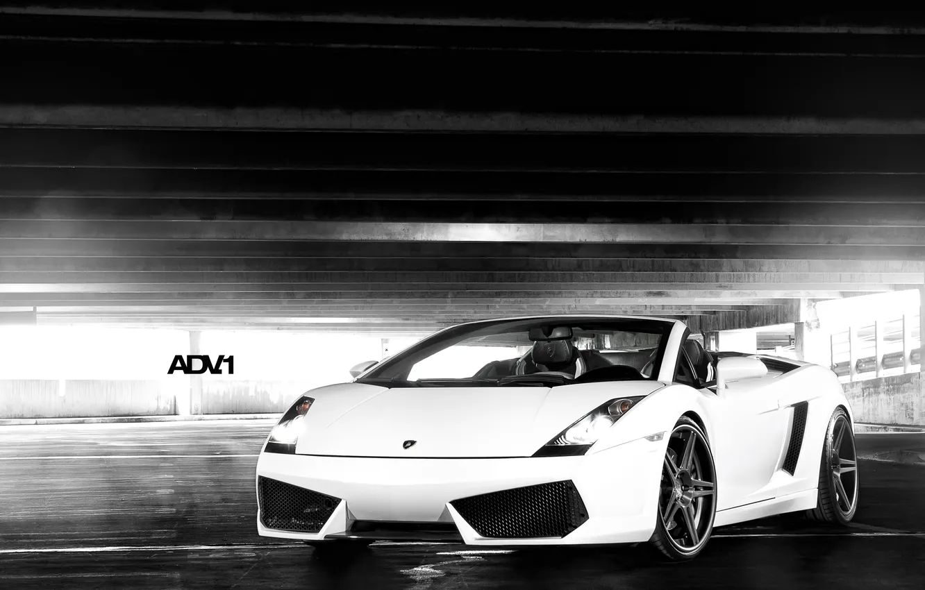 Фото обои белый, свет, надпись, гараж, Lamborghini, суперкар, Gallardo, Spyder