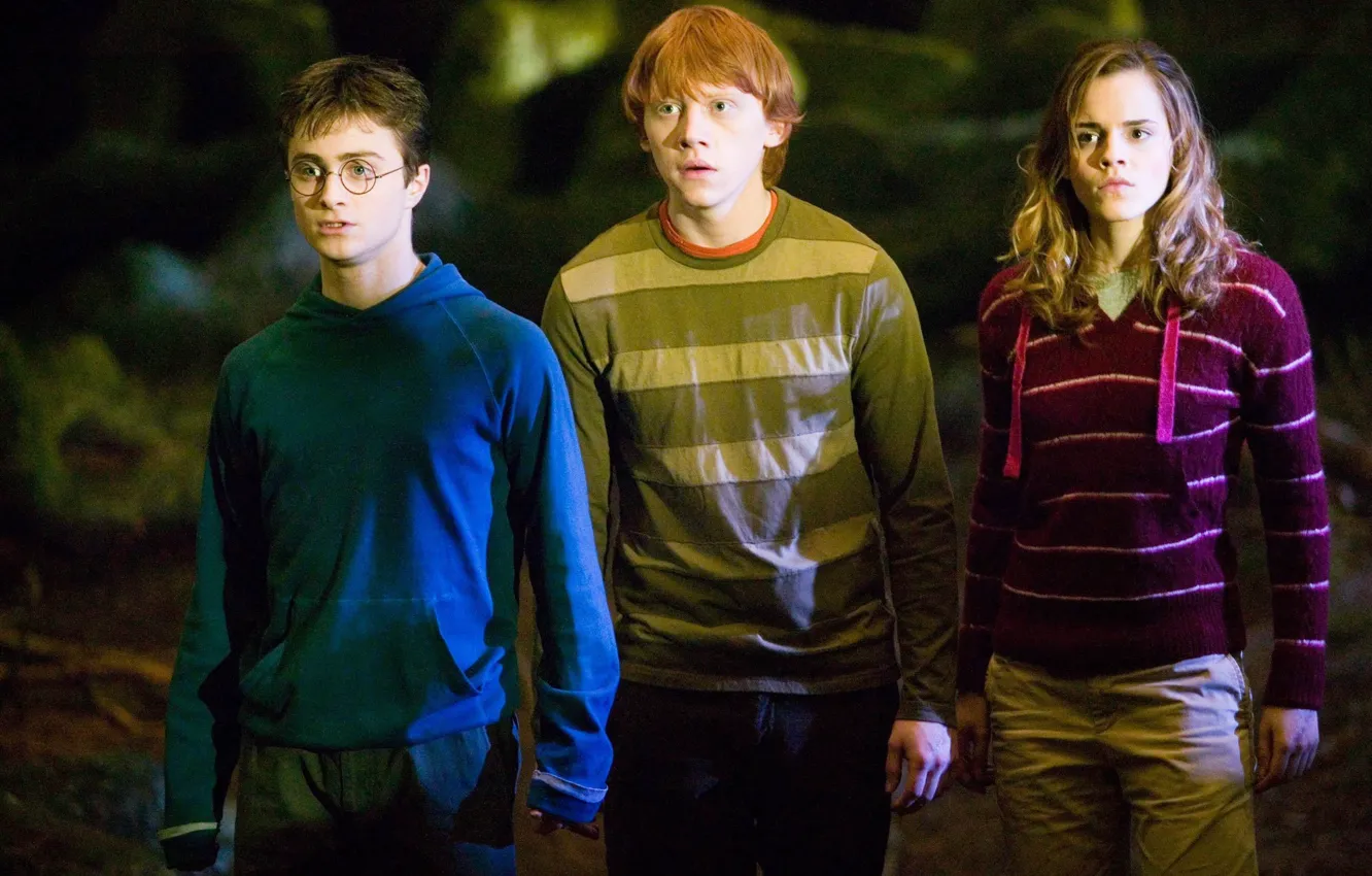 Фото обои удивление, Гарри Поттер, Эмма Уотсон, Harry Potter, Гарри Поттер и Орден Феникса, Рон Уизли, Harry …