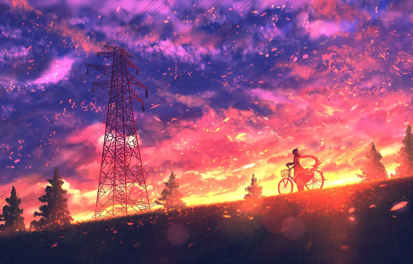 Фото обои девушка, закат, природа, велосипед
