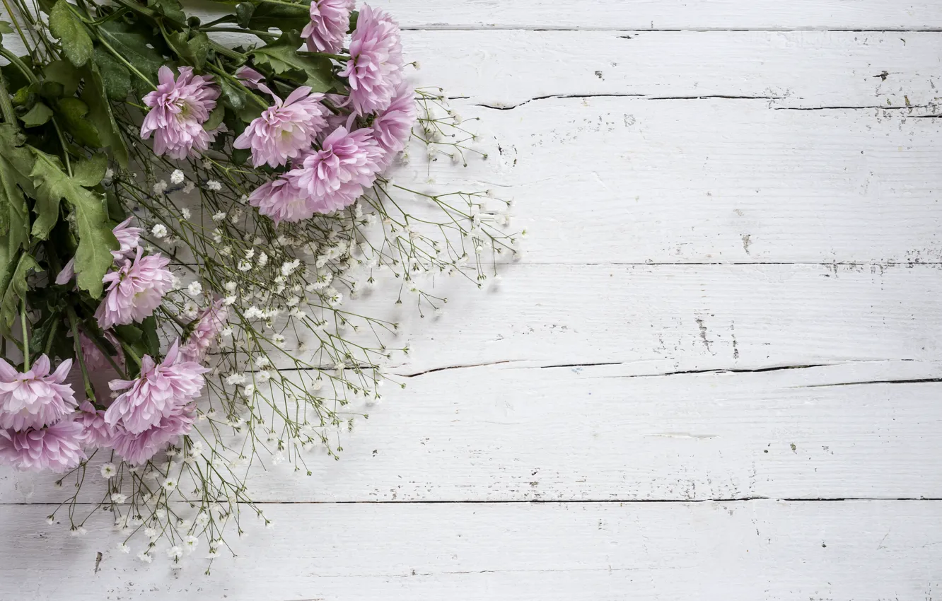Фото обои цветы, фон, розовые, хризантемы, wood, pink, flowers, violet
