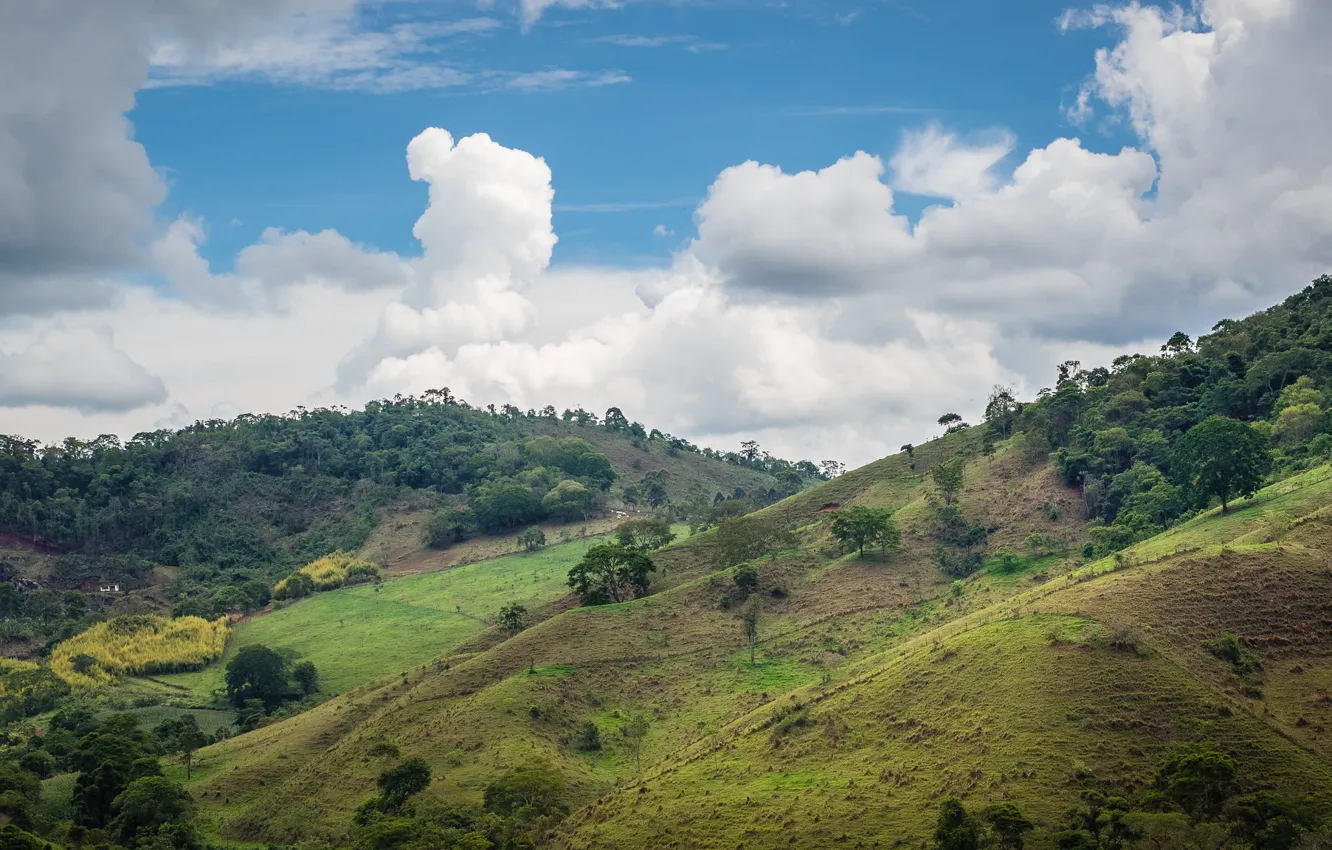 Фото обои небо, облака, дом, холмы, Бразилия, скот, долины, Минас-Жерайс