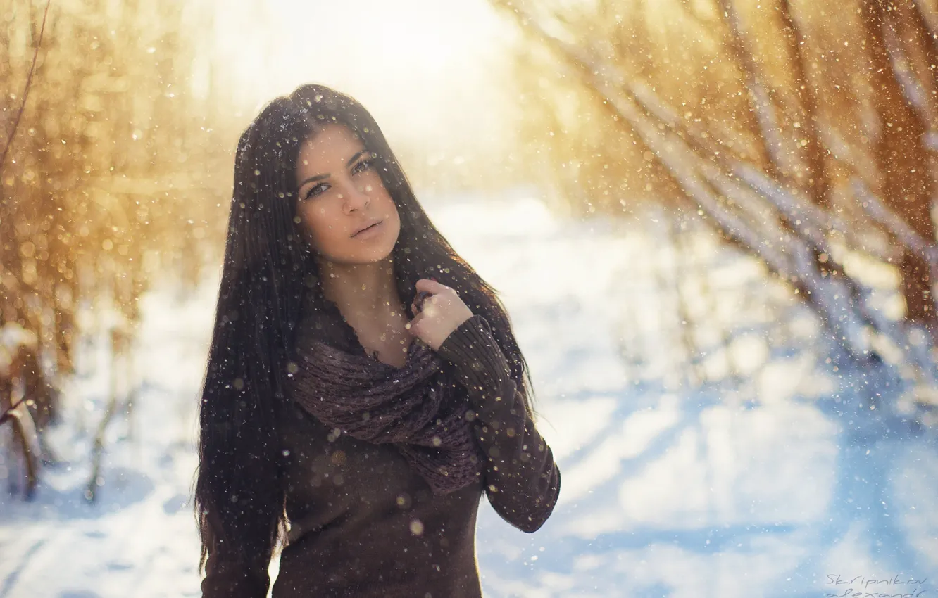 Фото обои зима, девушка, снег