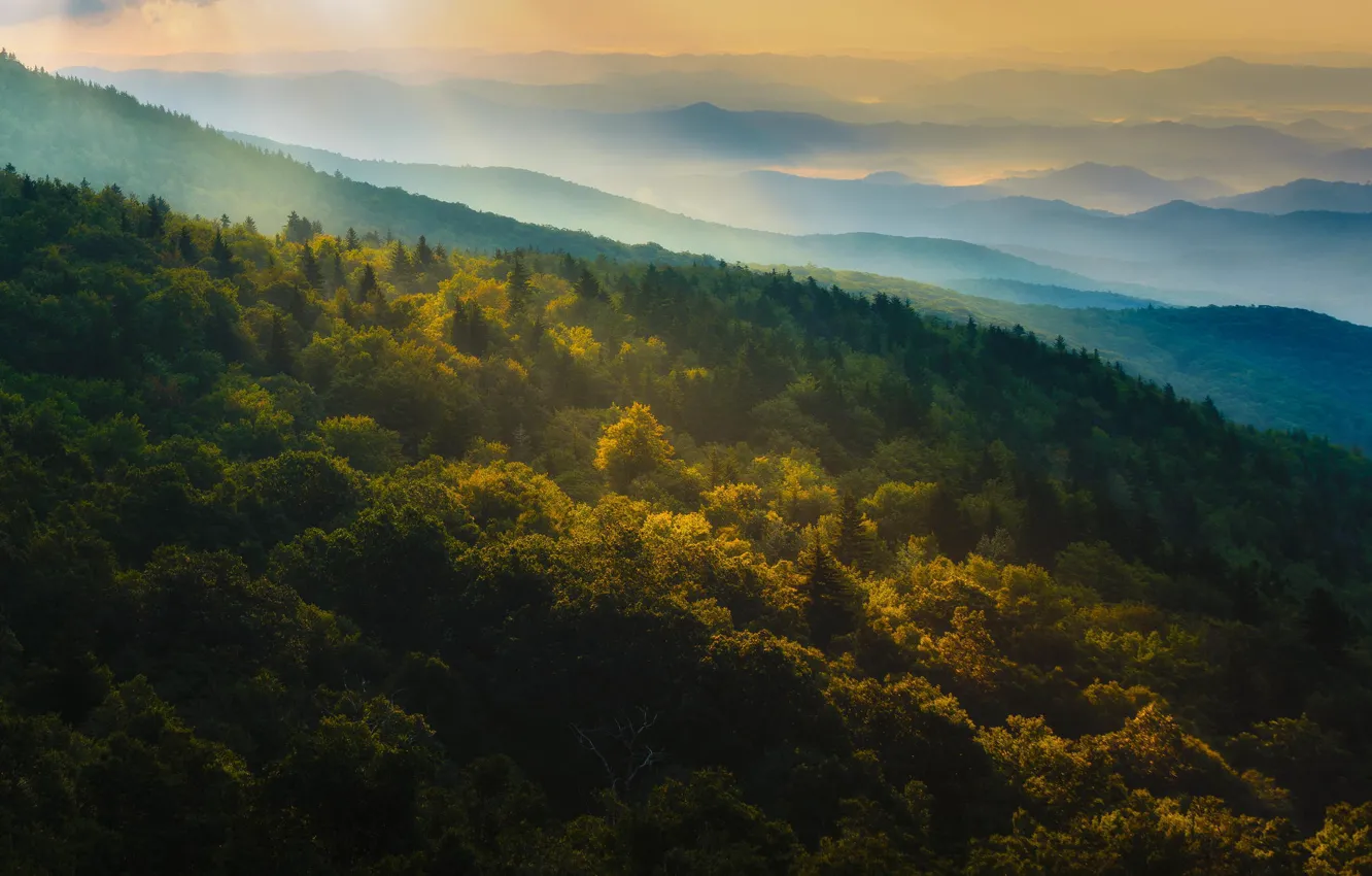 Фото обои осень, лес, горы, природа, рассвет, панорамма