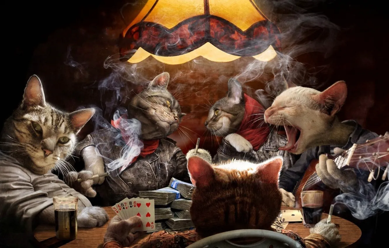 Фото обои карты, кошки, дым, гитара, деньги, сигареты