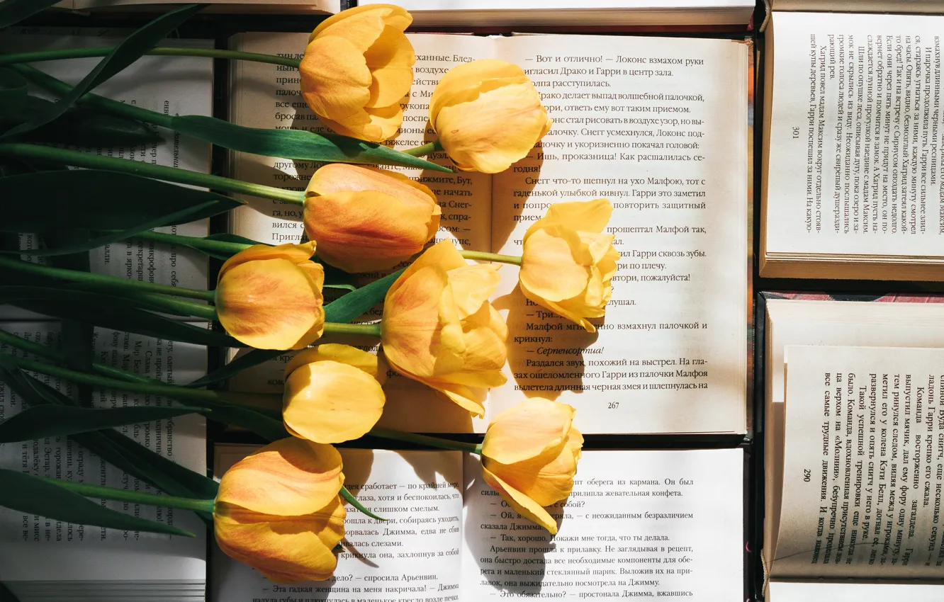 Фото обои цветы, текст, книги, букет, желтые, тюльпаны, страницы, литература