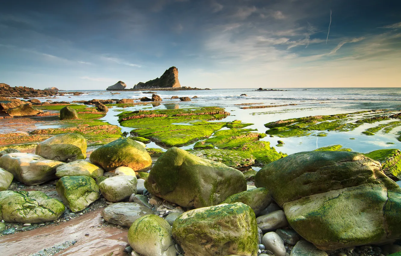 Фото обои море, небо, водоросли, камни, скалы, отлив