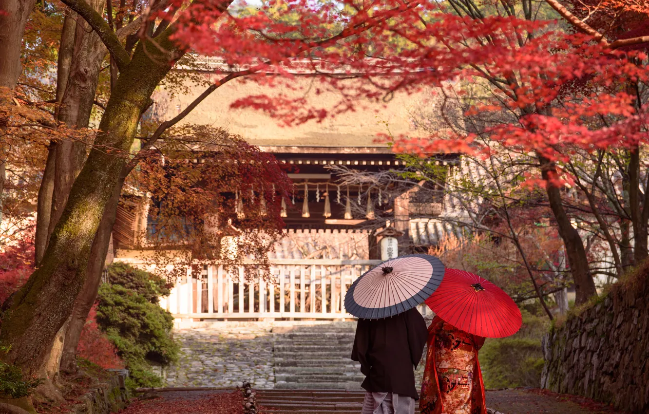 Фото обои Природа, Осень, Япония, Листья, Лестница, Храм, Пара, Кимоно