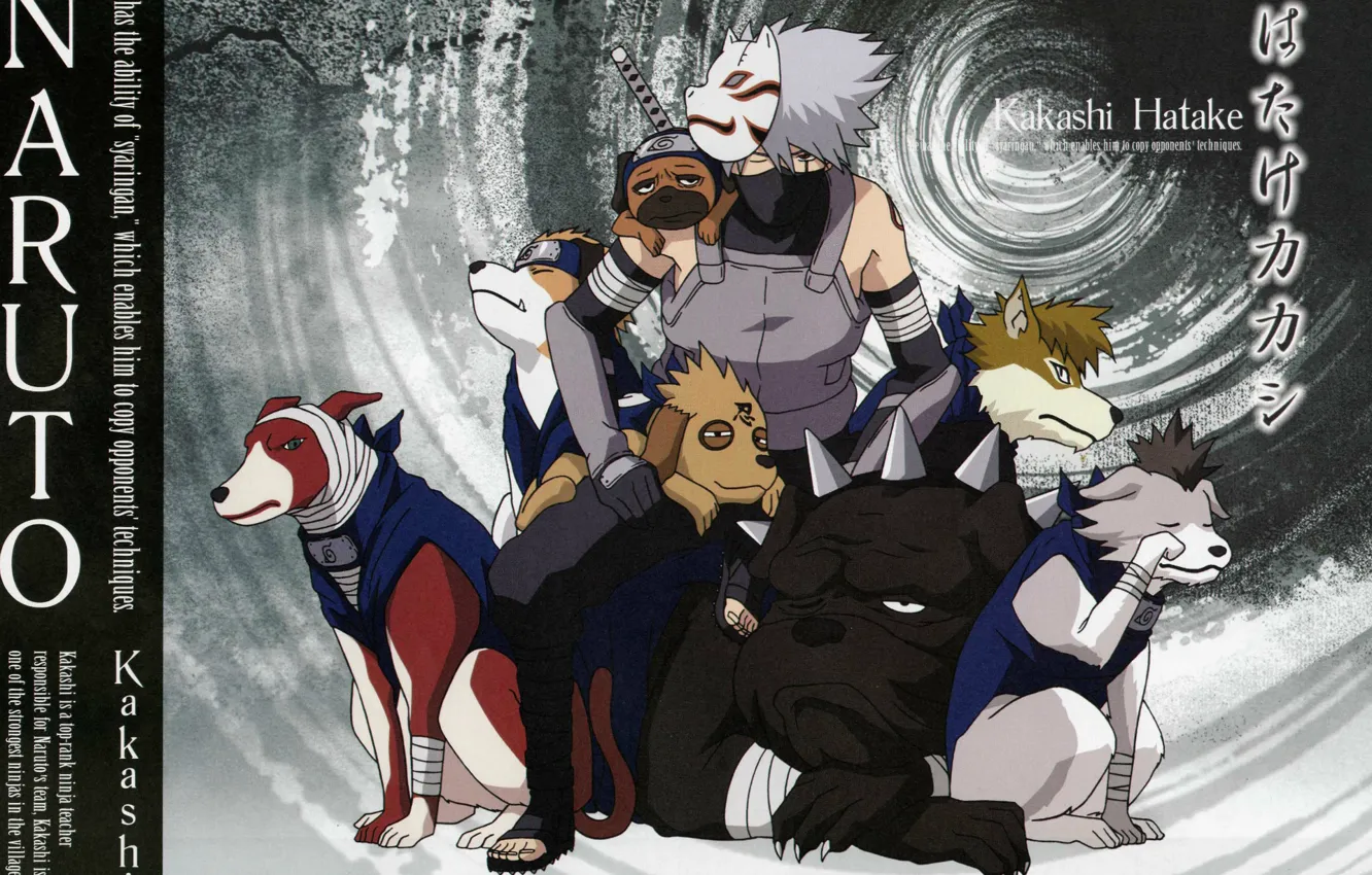 Фото обои собаки, катана, маска, Naruto, бинты, ninja, sensei, Kakashi Hatake
