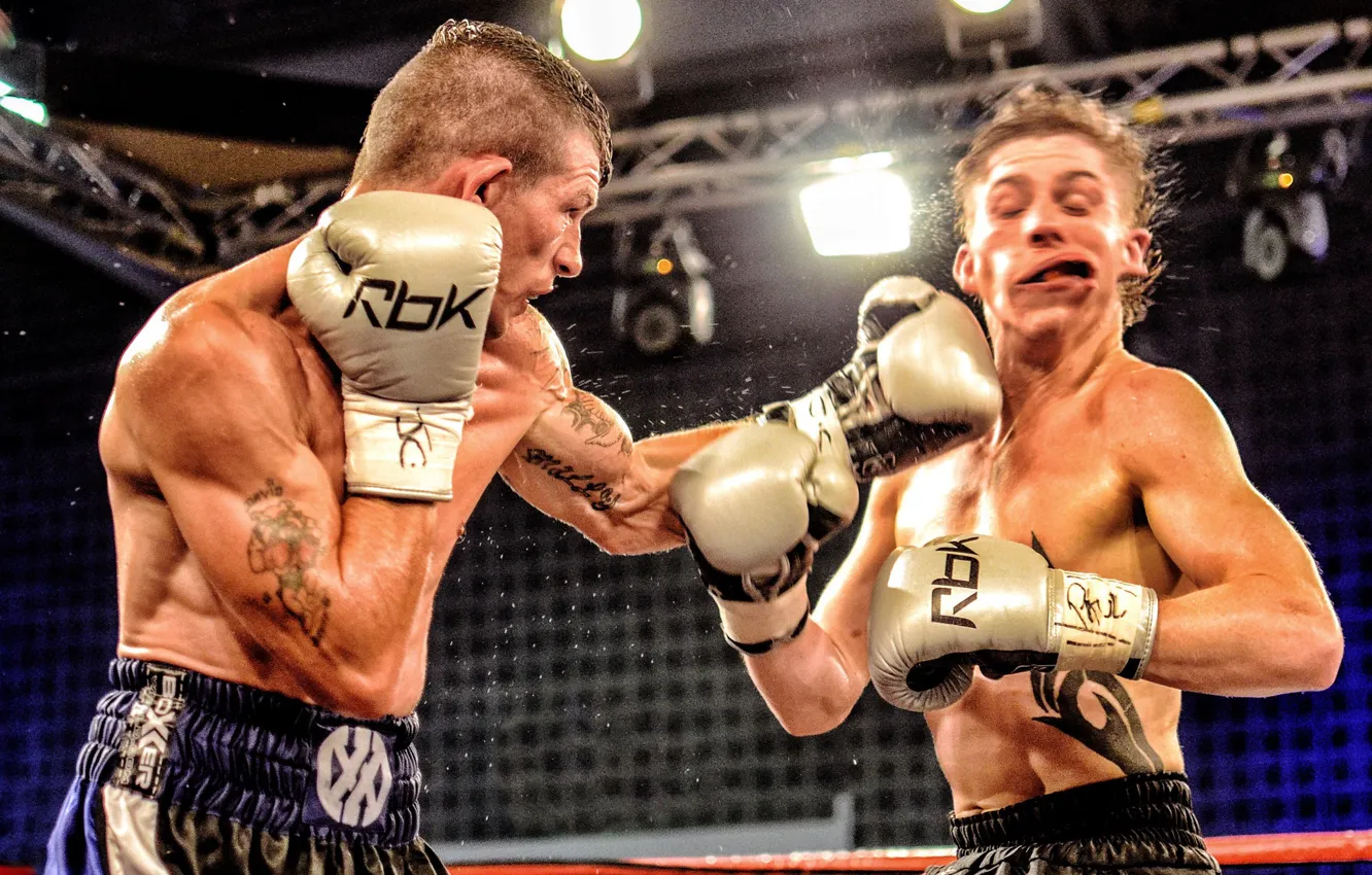 Фото обои спорт, бокс, Robbie Turley, Dai Davies