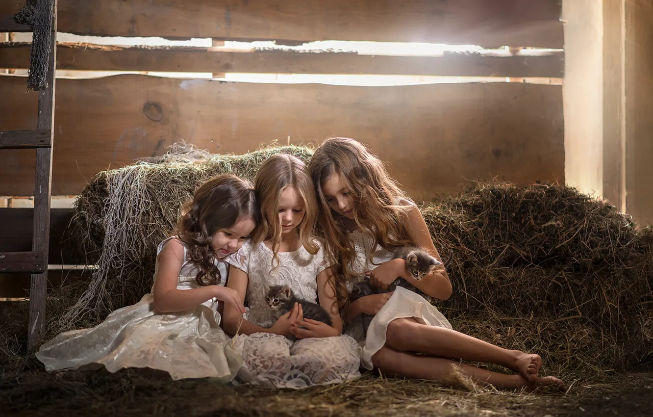Фото обои волосы, девочки, сено, котята, подружки