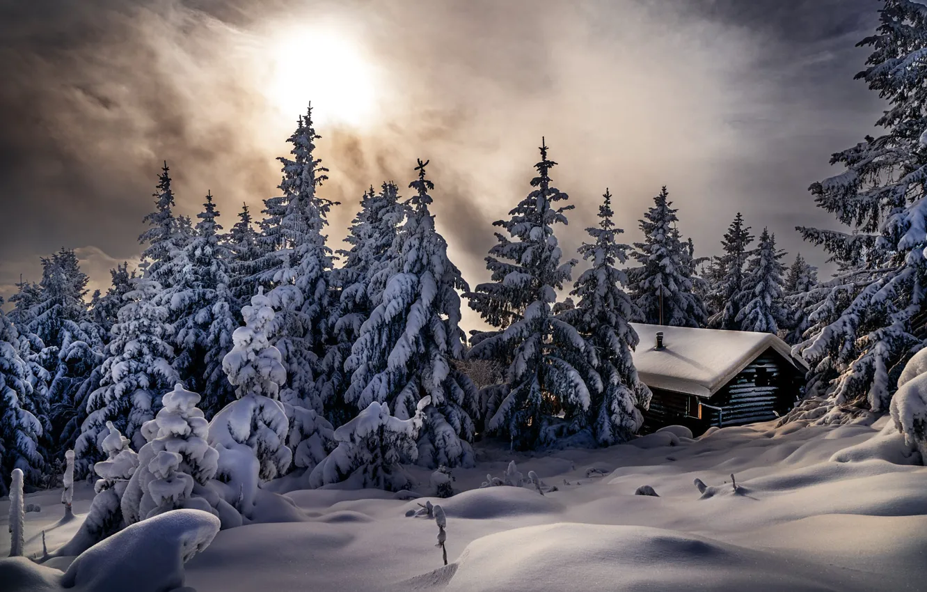 Фото обои зима, снег, деревья, пейзаж, природа, дом, ели, сугробы